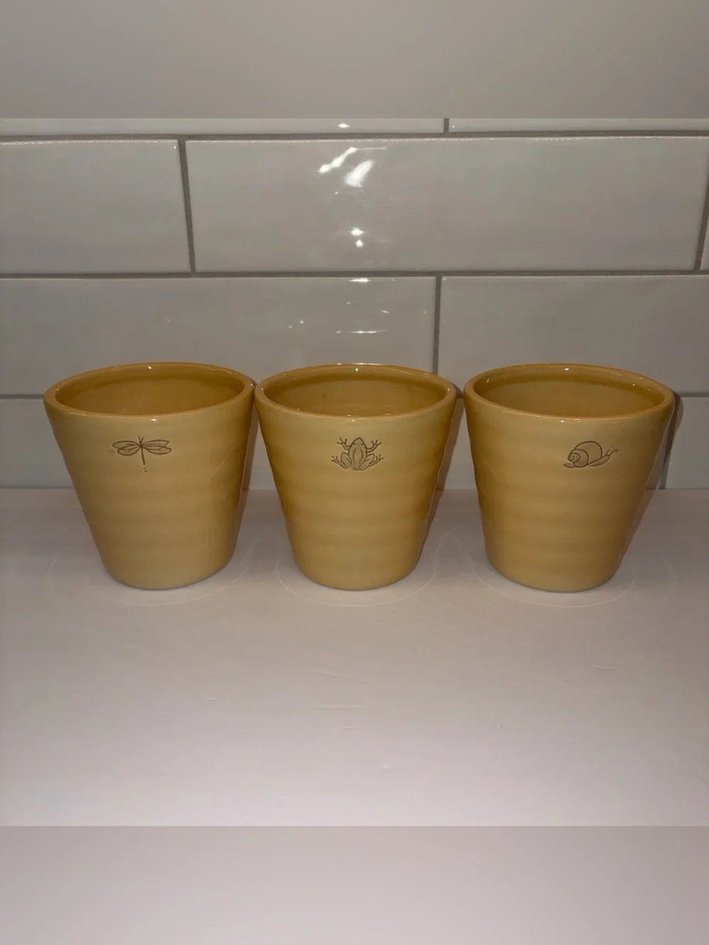 Pottery Barn Yellow Planters Dragonfly Frog Snail 4” X 4” Ribbed EUC Set Of 3